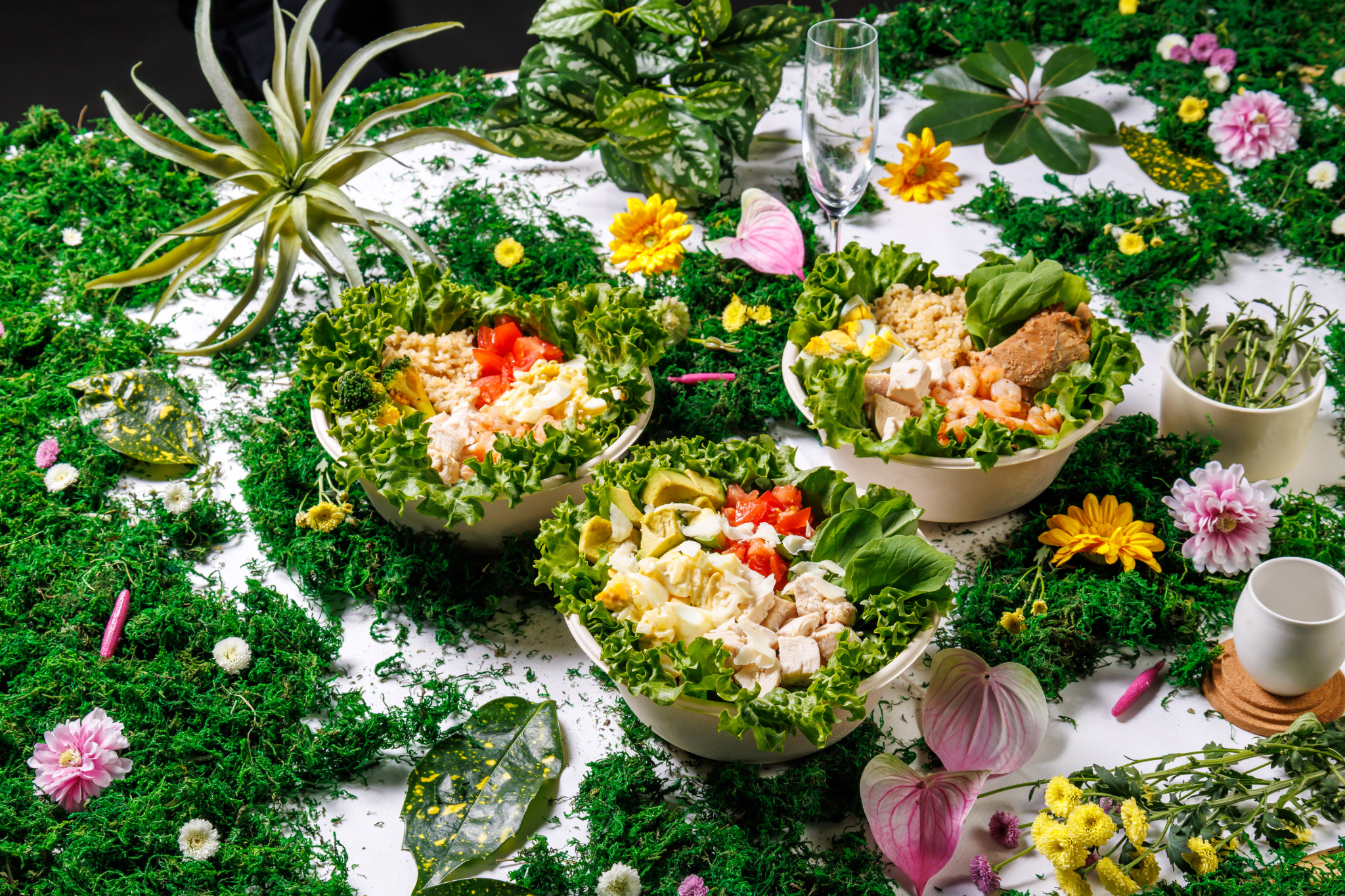 FitGreenヒーロー写真1